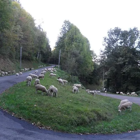 Kemp Camping Le Haut Salat 3*