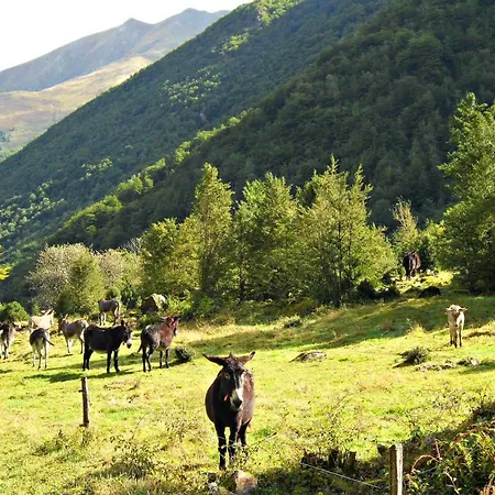 Camping Le Haut Salat 3* Seix